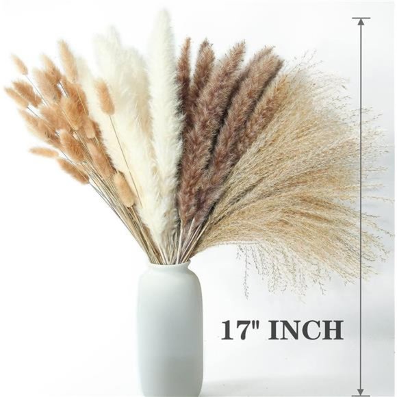 Dried Pampas Grass Decor, 100 PCS Pampas Grass Contains Bunny Tails Dried Flower - Picture 3 of 7